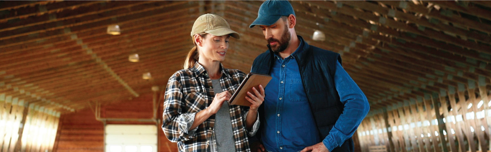 Couple in barn looking at tablet